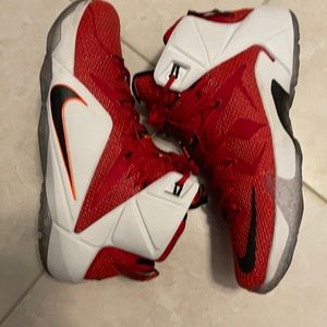 LeBron 12 ‘Heart of a Lion’